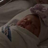 Presleigh photo 7