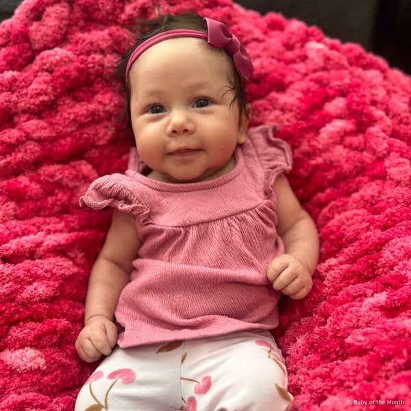 Raven - Contest Entry Photo