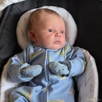 Rhett photo 3