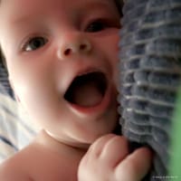Roronoa photo 6