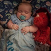 Rowan photo 5