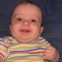 Ryder photo 3