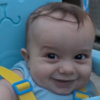 Ryder photo 5