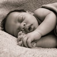 Ryker photo 2
