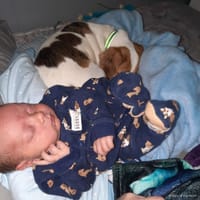 Ryker photo 3