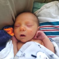 Ryker photo 7