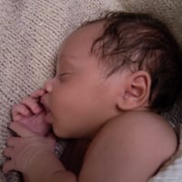 Ryker photo 8