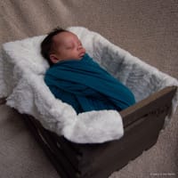 Ryker photo 8