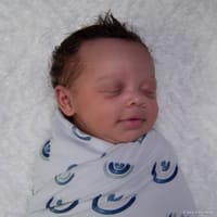 Ryker photo 9