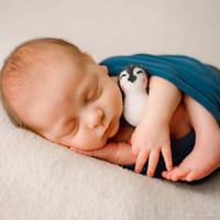 Ryker photo 9