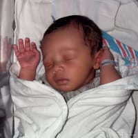 Ryker photo 10