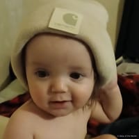 Sam photo 2