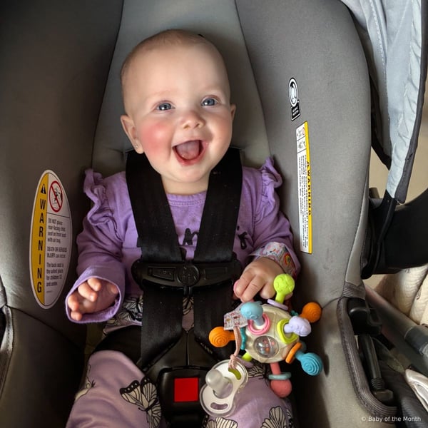 Scarlett - Contest Entry Photo