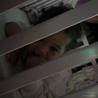 Siré photo 4