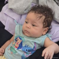 Skylin photo 4