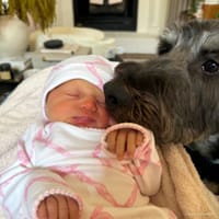 Sloane photo 3