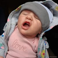 Sophia photo 2