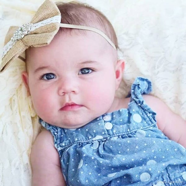 Stella - Contest Entry Photo