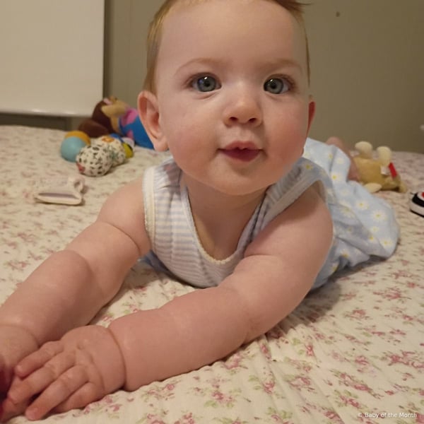 Story - Contest Entry Photo