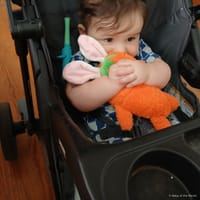 Theo photo 4