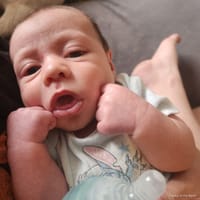 Theodore photo 3