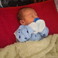 Theodore photo 8