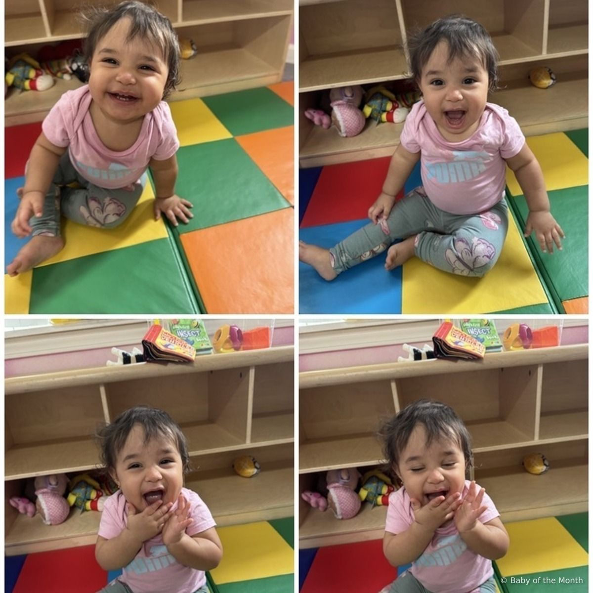 Vayah - currently leading in Infant division with 4053 votes
