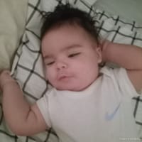 Waylen photo 4