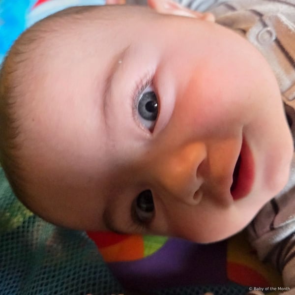 Waylon - Baby contestant