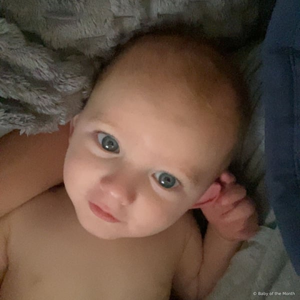 Weston - Contest Entry Photo