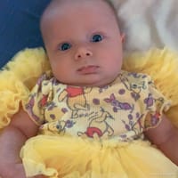 Willow photo 3