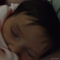 Willow photo 4