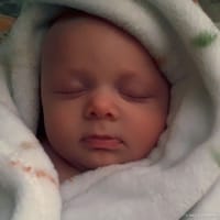 Willow photo 5