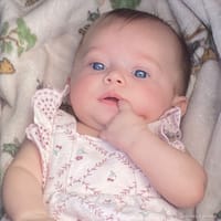 Willow photo 6