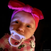 Willow photo 8