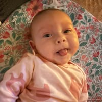 Willow photo 8