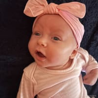 Willow photo 9