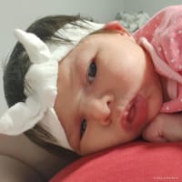 Willow photo 2