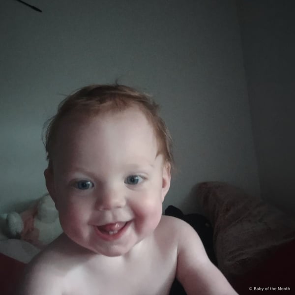 Winter - Contest Entry Photo