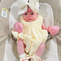 Wren photo 3