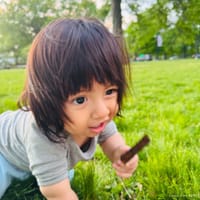 Xavier photo 4