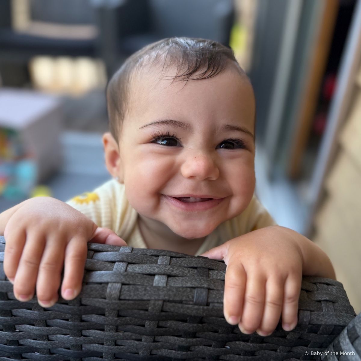 Zamira - currently leading in Infant division with 3501 votes