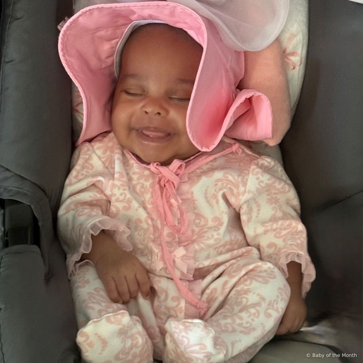 Zoey - currently leading in Newborn division with 2413 votes